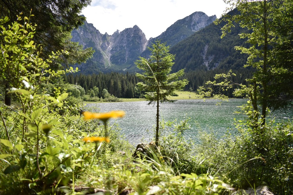 Laghi di Fusine: trekking per famiglie e percorso in mountain-bike ...