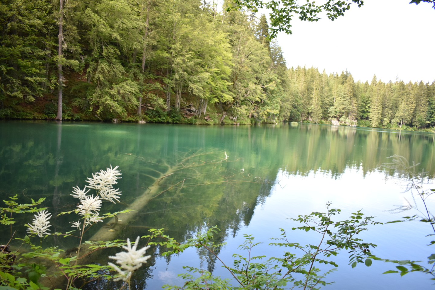 Laghi di Fusine: trekking per famiglie e percorso in mountain-bike ...