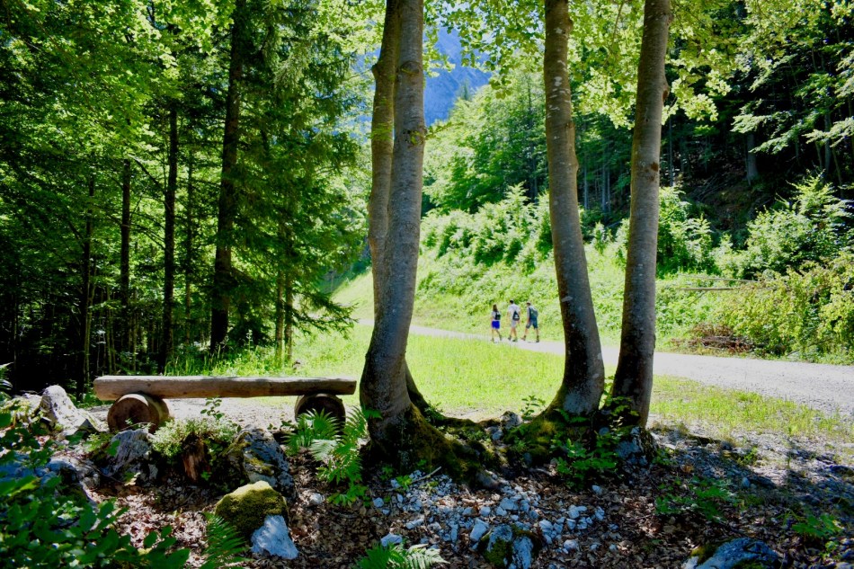 Laghi di Fusine: trekking per famiglie e percorso in mountain-bike ...