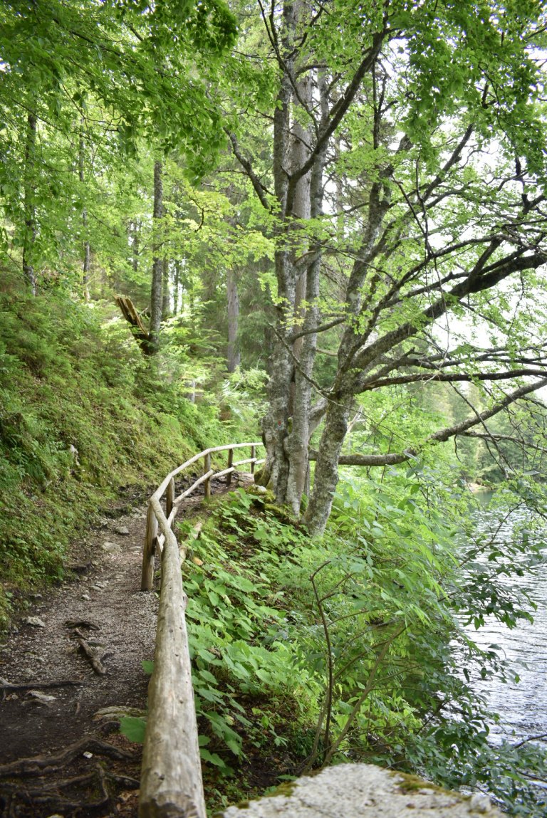 Laghi di Fusine: trekking per famiglie e percorso in mountain-bike ...