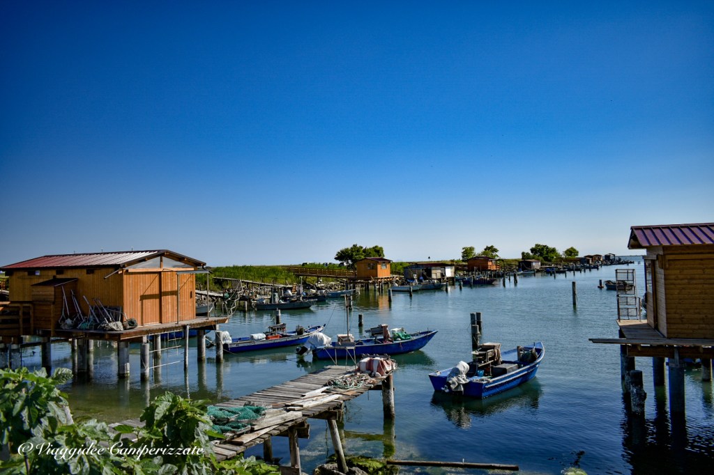 Sacca degli Scardovari