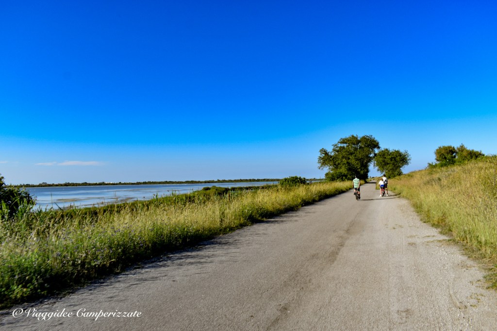 Delta del Po in Camper