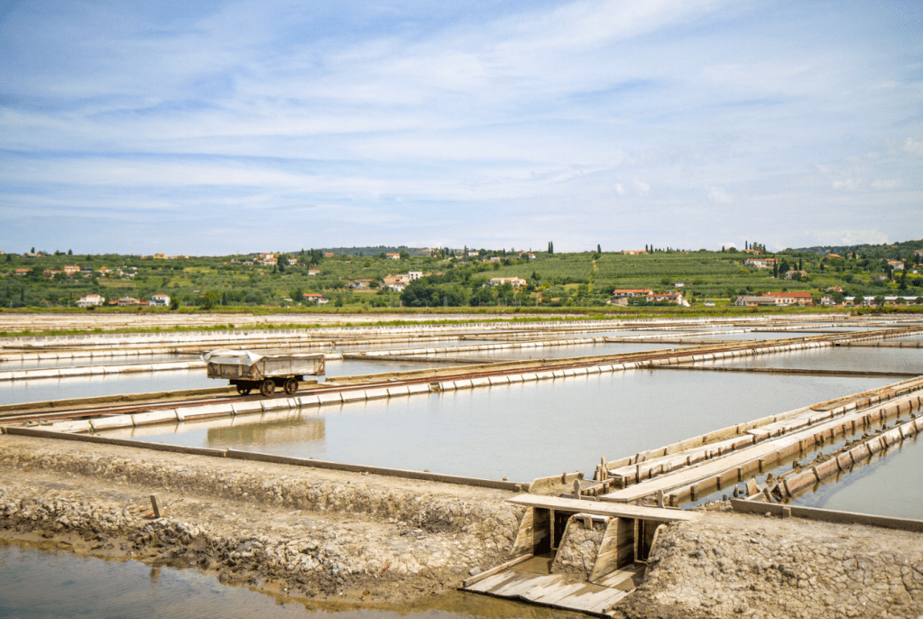 Saline di Sicciole