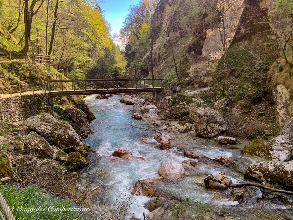 Gole di Tolmino, Tolminska Korita