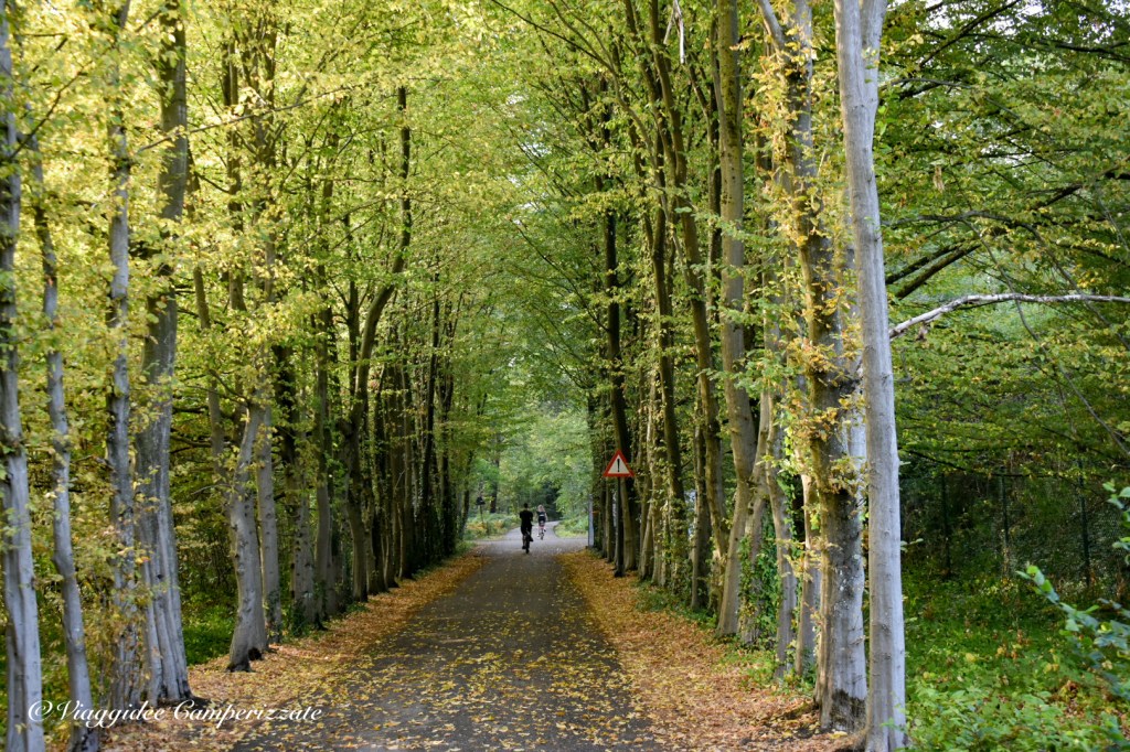 Bosco di Bokrijk
