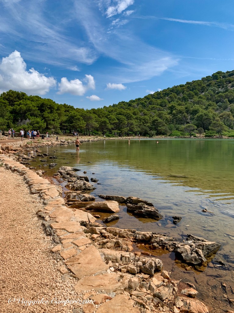 Lago salato Mir, Telascica