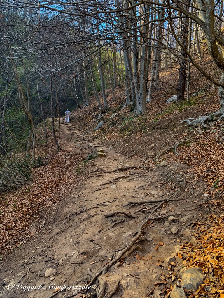 Via dell'Acqua, Cison