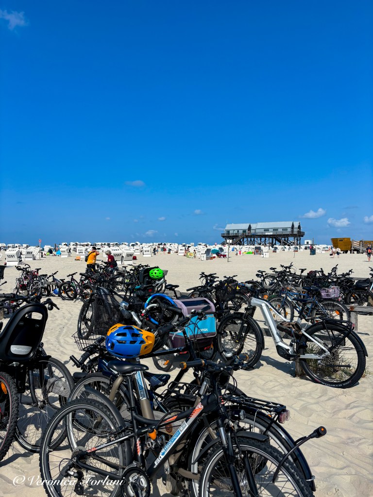 Germania del nord in Camper