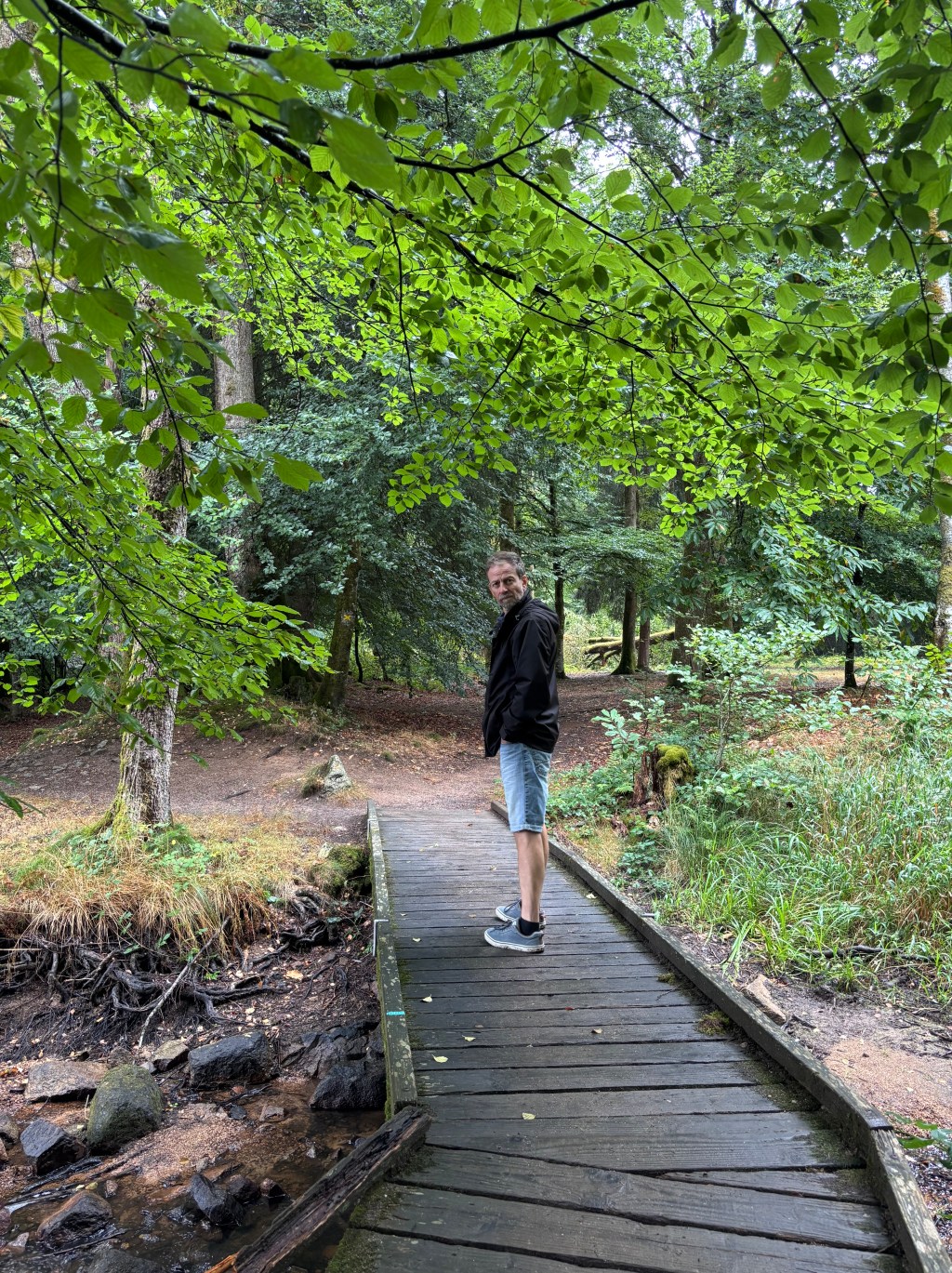 Una passerella di legno nel bosco lungo il giro del Lac des Settons
